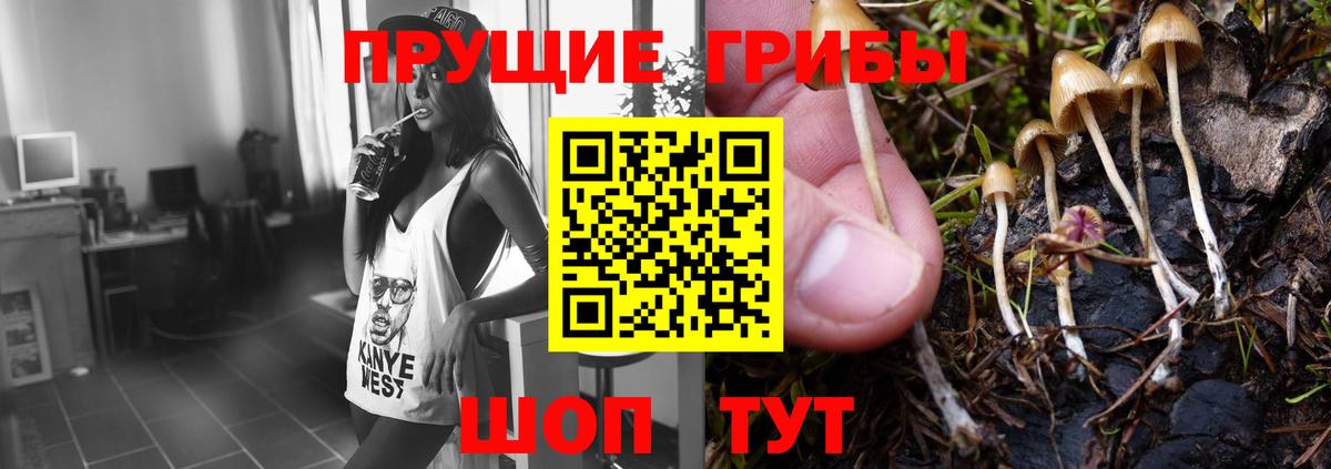 Псилоцибиновые грибы ЛСД Орехово-Зуево